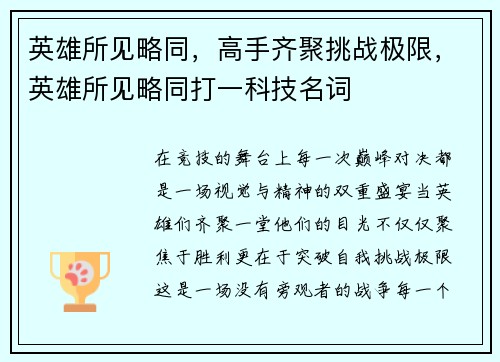 英雄所见略同，高手齐聚挑战极限，英雄所见略同打一科技名词
